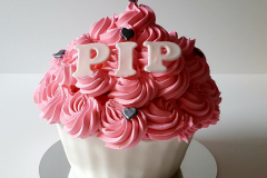 IMG_20180526_141105_791