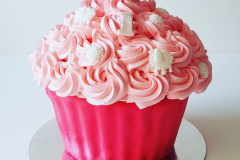 IMG_20180822_171148_159