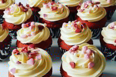 IMG_20190311_150204_835