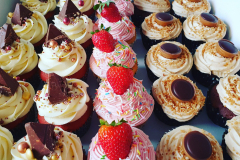 IMG_20210416_203233_314-scaled